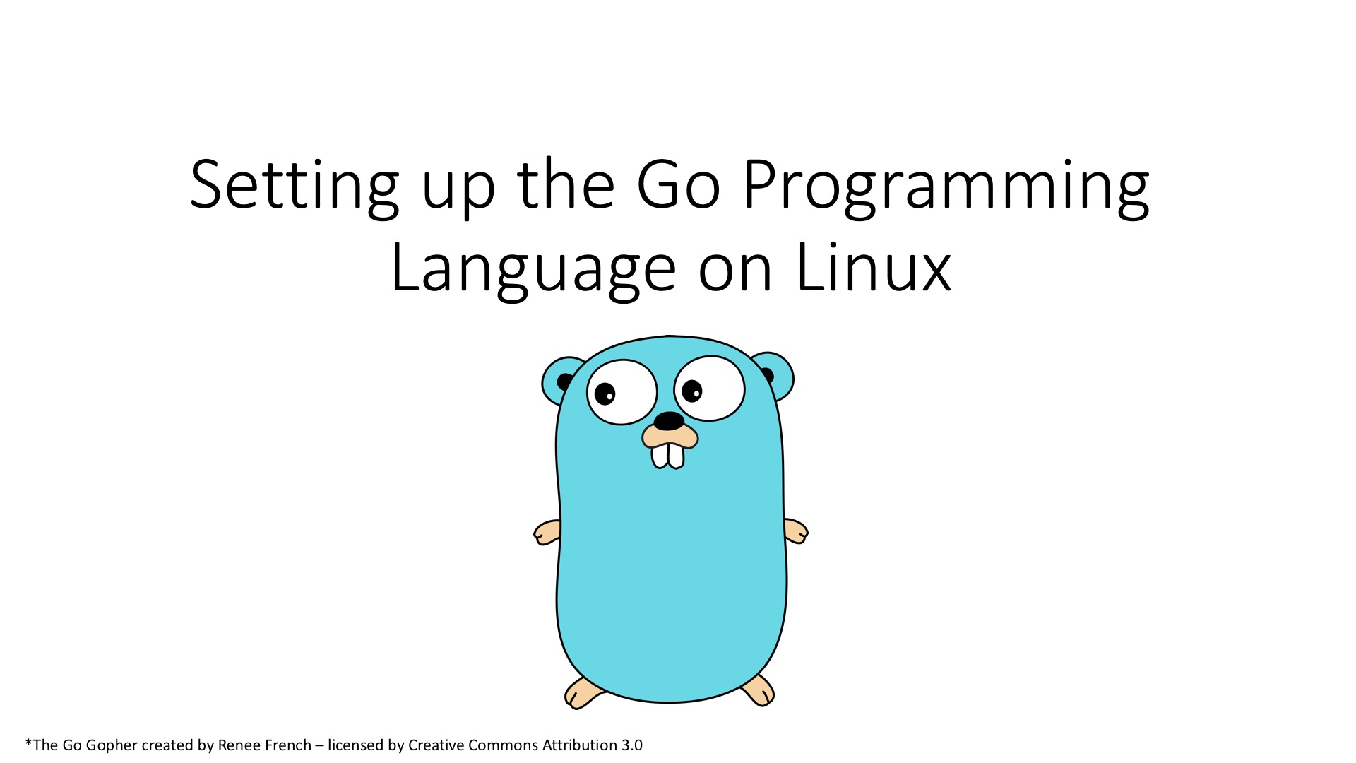 Golang date